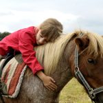 Reittherapie - mehr als nur Bewegung